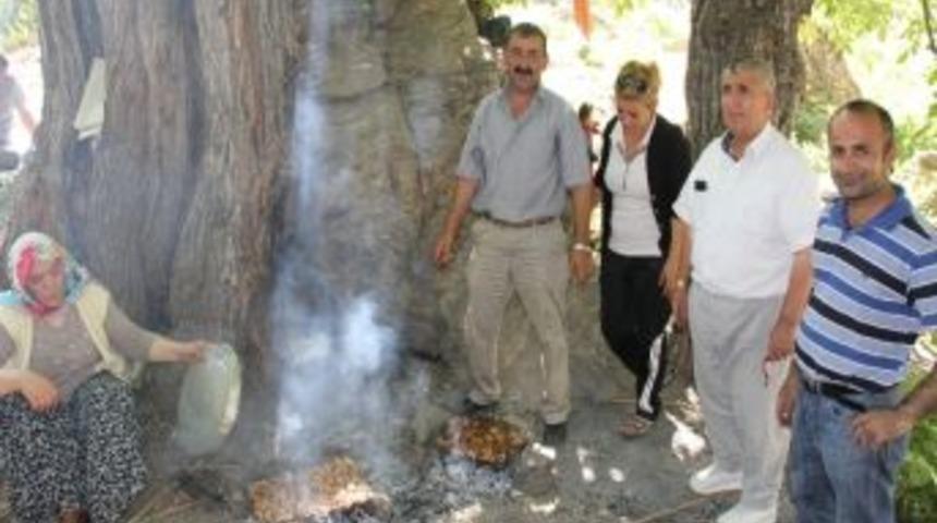 Yerli Turistlerin Piknik Keyfi