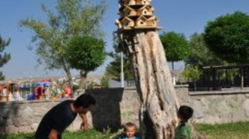G&ouml;lbaşı Belediyesi'nden Kuşlara 6 Katlı Yuva