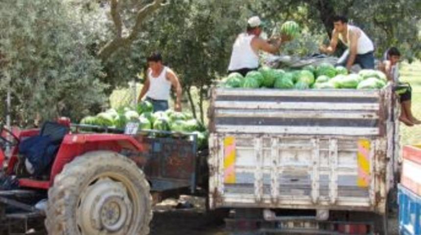 Işıklı K&ouml;y&uuml;nde Karpuz Satışına B&uuml;y&uuml;k İlgi