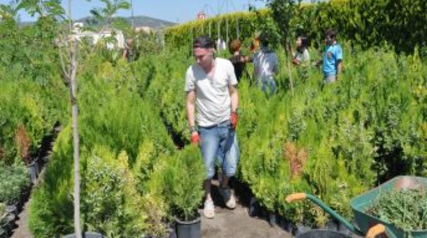 Avrupalı Gen&ccedil;ler, Aliağa&rsquo;ya G&ouml;n&uuml;ll&uuml; &Ccedil;alışmaya Geldi