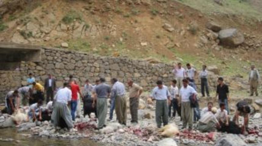 Aşiret Mensubuna G&ouml;rkemli D&uuml;ğ&uuml;n