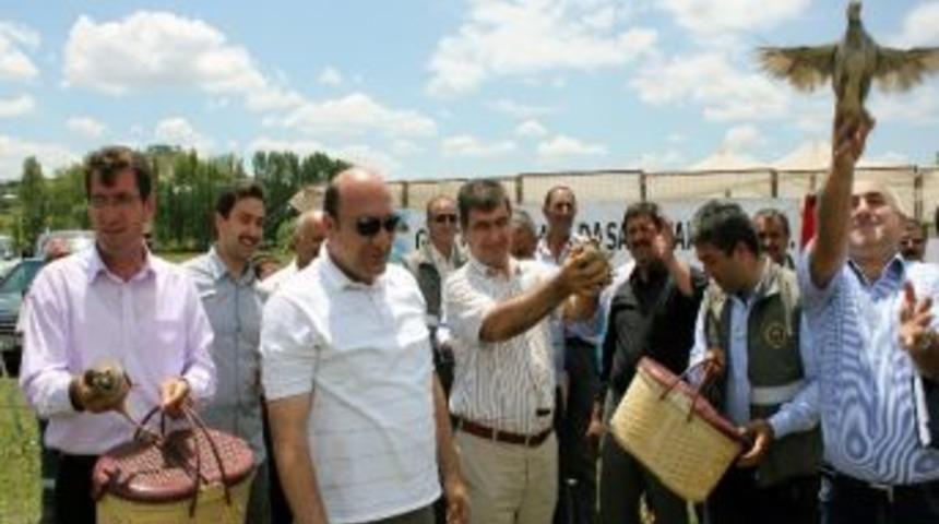 Kınalı Keklikler &Ouml;renkale&rsquo;de &Ouml;tecek