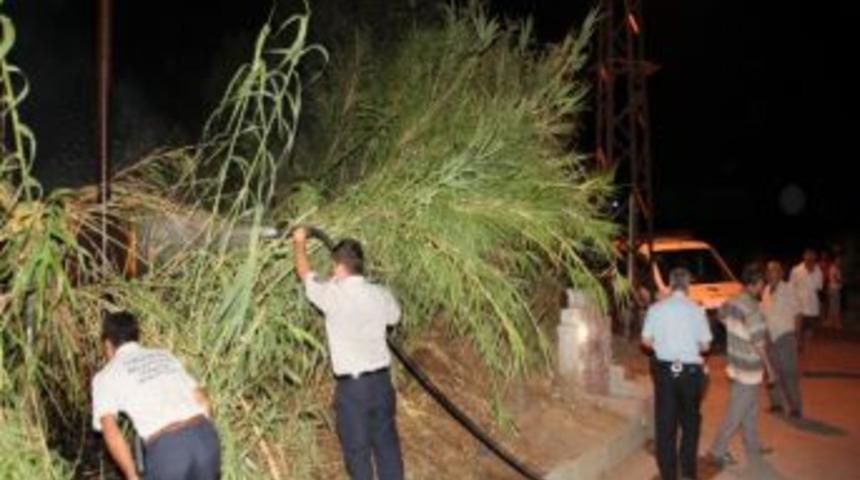 Trafo Binası Yanında &Ccedil;ıkan Yangın Korkuttu