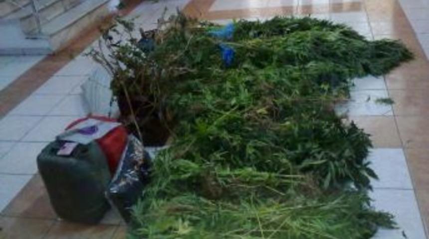 Jandarma&rsquo;dan Kenever Operasyonu