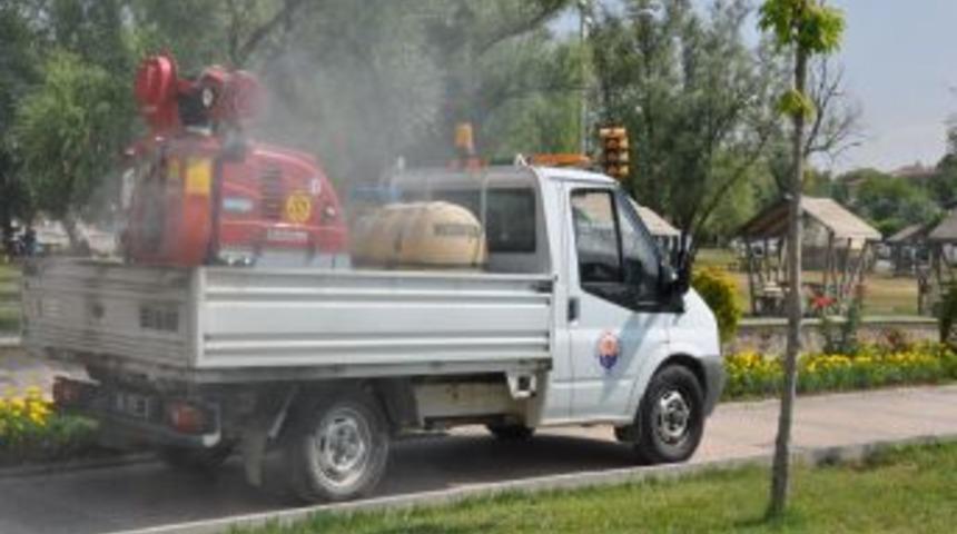 G&ouml;lbaşı'nda Sinekle M&uuml;cadele &Ccedil;alışmalarına Hız Verildi