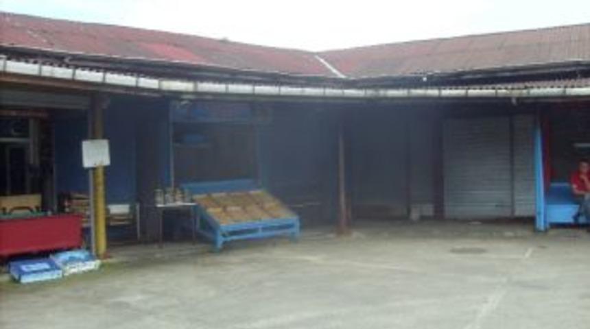 Karadeniz'de Mezgit Kayboldu Balık Halindeki D&uuml;kkanlar Kapandı