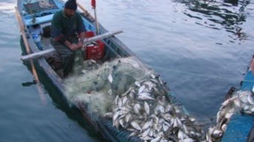 G&uuml;ll&uuml;k Lag&uuml;n&uuml;&rsquo;n&uuml;n &Ccedil;evresel Etkileri Araştırılıyor