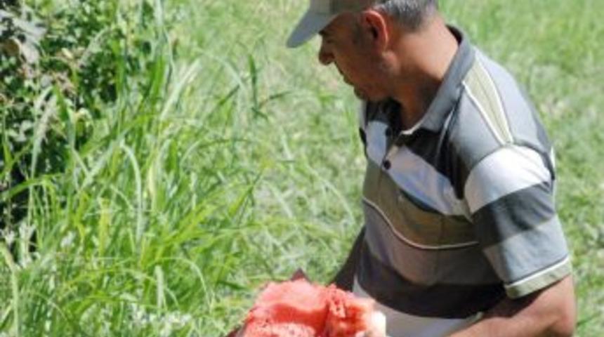 Bu Cezaevinde H&uuml;k&uuml;ml&uuml;ler Volta Atma Yerine Meslek &Ouml;ğreniyor, &Uuml;retim Yapıyor