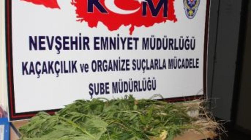 Bah&ccedil;esinde Hınt Kenevırı Yetiştirirken Yakalandı