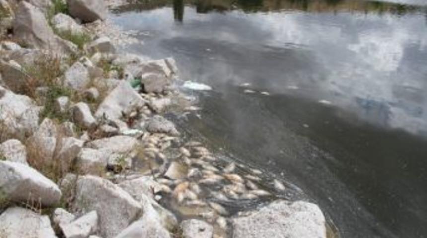 Tatlarin Barajındaki Balık &Ouml;l&uuml;mleri İle İlgili İnceleme Başlatıldı