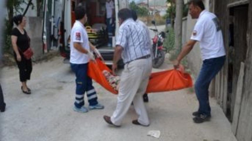 Kızlarının Bakmadığı Adamı Karıncalar Yedi