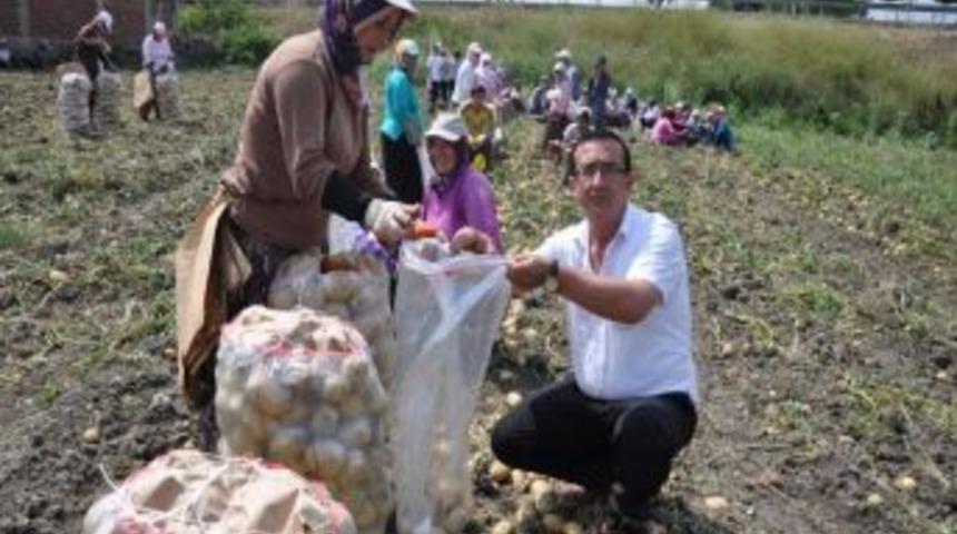 Ziraat Odası'ndan Patates &Uuml;reticilerine &ldquo;panik Yapmayın&rdquo; Uyarısı