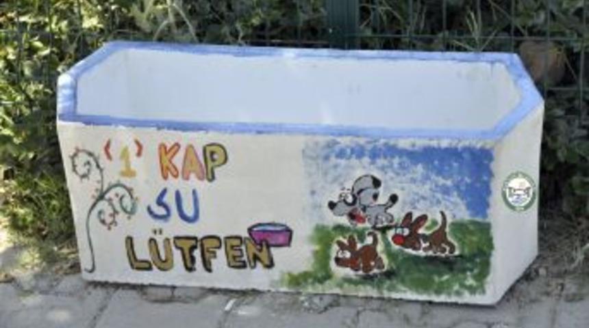 Konacık Belediyesi Sokak Hayvanları I&ccedil;in Su Kapları Yerleştiriyor
