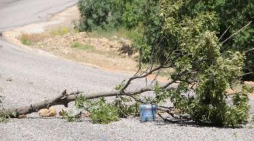 Tunceli-Erzincan Kara Yolunda Bomba Tuzağı