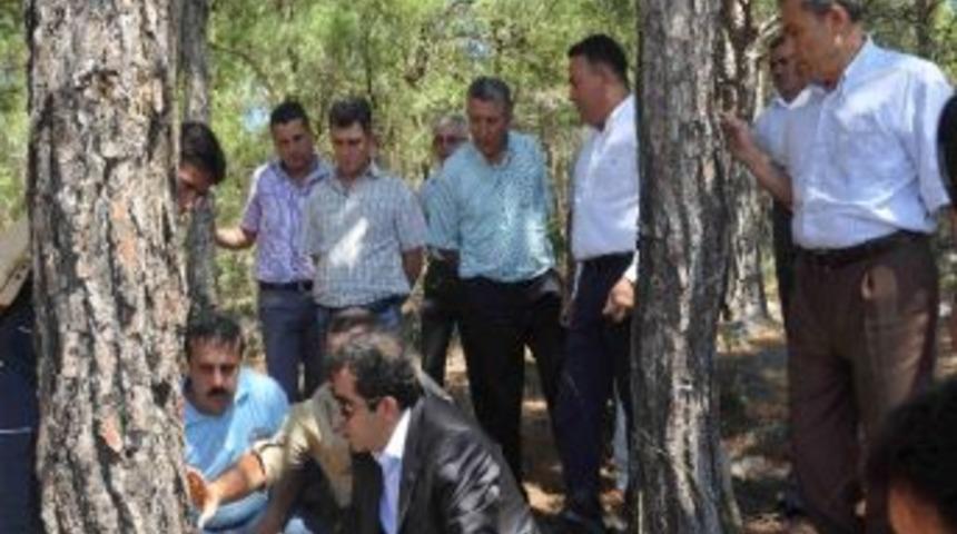 Vali G&uuml;zeloğlu Re&ccedil;ine &Uuml;retim Sahalarını İnceledi