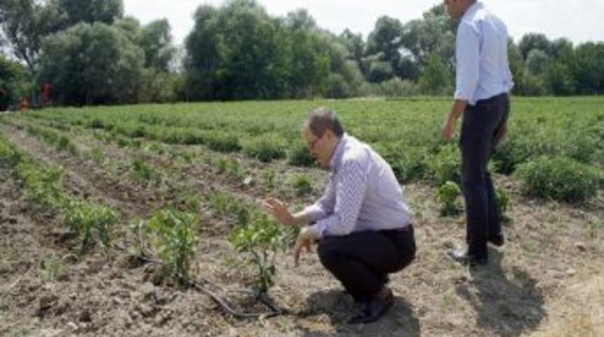 G&uuml;ndoğan: B&ouml;lgemizdeki Yatırımcının &Ouml;n&uuml;n&uuml; A&ccedil;maya &Ccedil;alışıyoruz