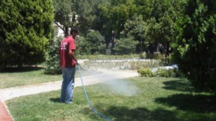 S&ouml;ke'de Parklara Kene İla&ccedil;laması