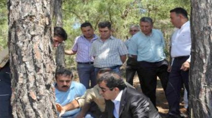 "T&uuml;rkiye, Re&ccedil;ine Ihra&ccedil; Eder Konuma Gelecek"