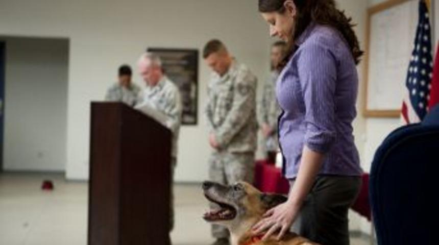 Ordudan Emekli Olan &lsquo;max&rsquo; İsimli K&ouml;pek İ&ccedil;in T&ouml;ren D&uuml;zenlendi