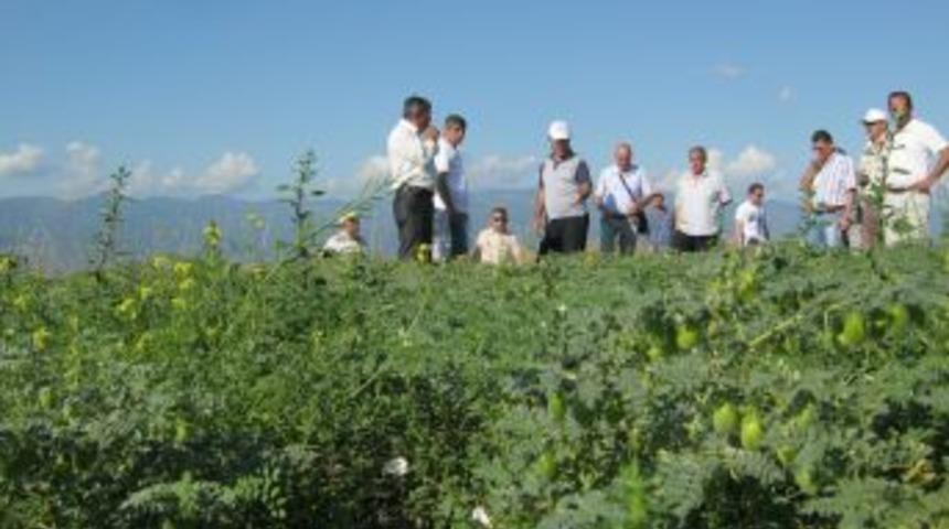 Erbaa Baklada Da S&ouml;z Sahibi Olacak