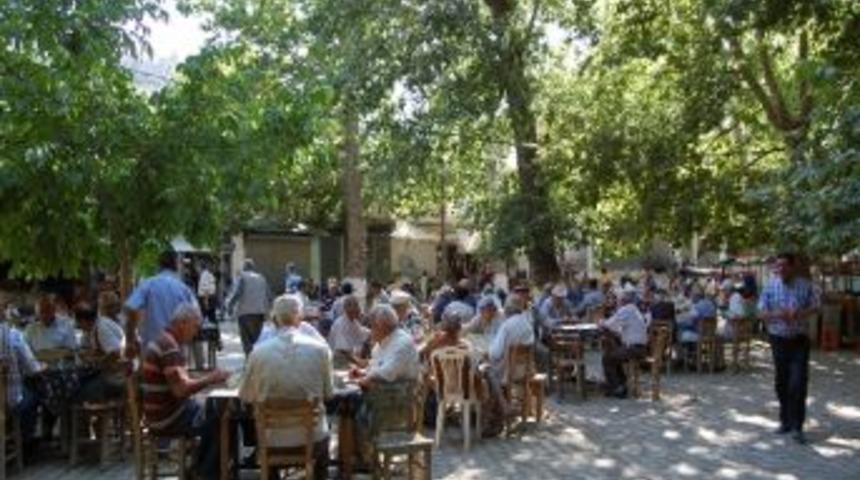 Yaylaya 'g&ouml;&ccedil;' Devam Ediyor