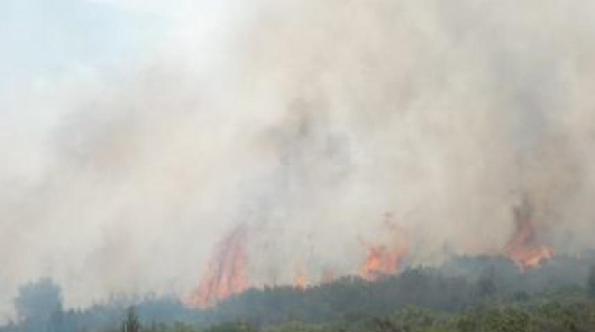 Didim&rsquo;de Korkutan Yangın&hellip;