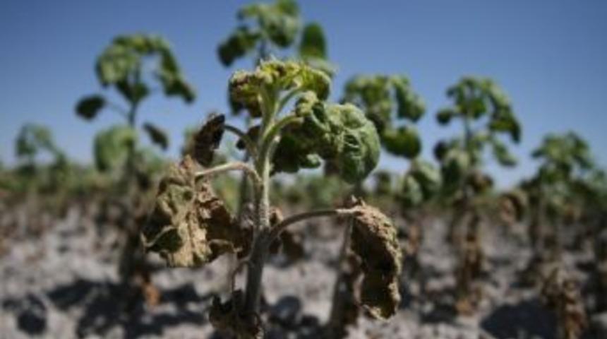 &Uuml;retici Su Bekliyor