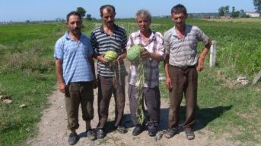 Yağmur Bafra Ovası&rsquo;nı Vurdu