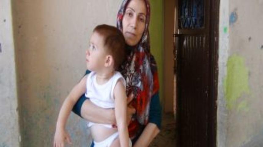 Hem Akreplerle Hem Yoksullukla Savaşıyorlar