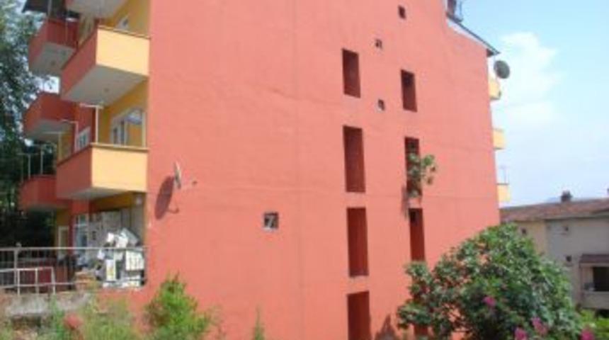 Bina Duvarında &Ccedil;ıkan Incir Ağacının Meyvelerini Yiyecekler