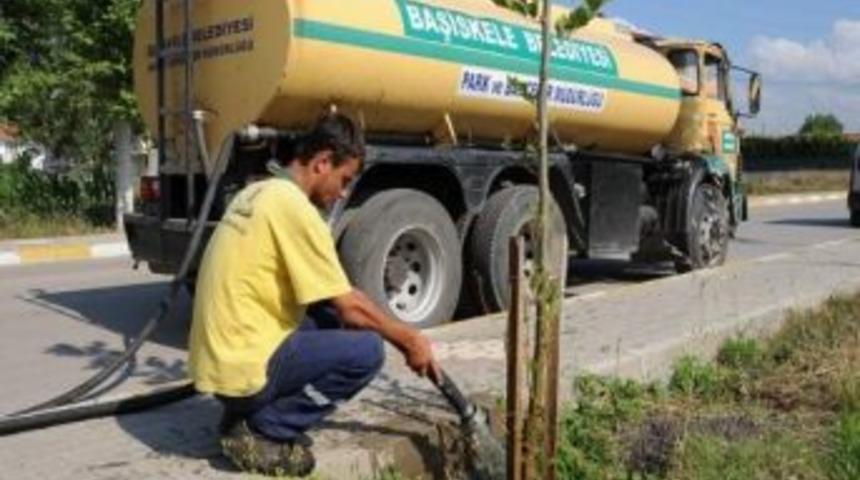 Başiskele'de Ağa&ccedil;lar Sulanıyor