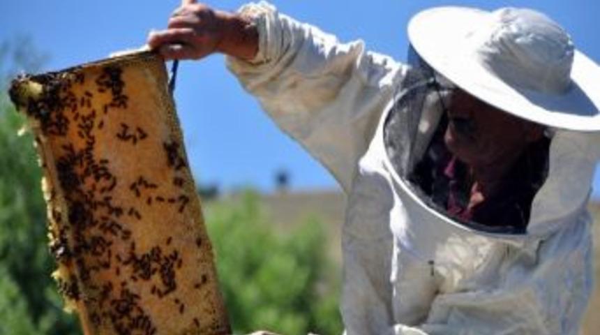 (&ouml;zel Haber) - 20 Yıllık Arıcı Bir İlki Ger&ccedil;ekleştirdi