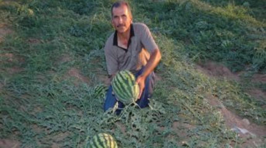 Tarım İşletmecileri Hedef B&uuml;y&uuml;tt&uuml;