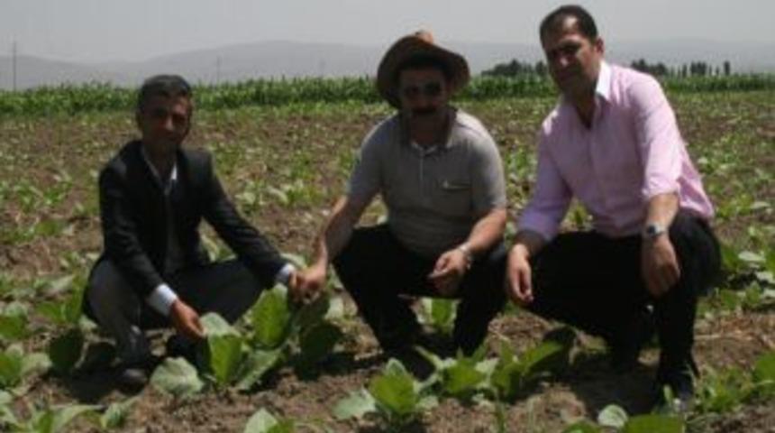 Solgun, T&uuml;r&uuml;n &Uuml;reticilerini Ziyaret Etti