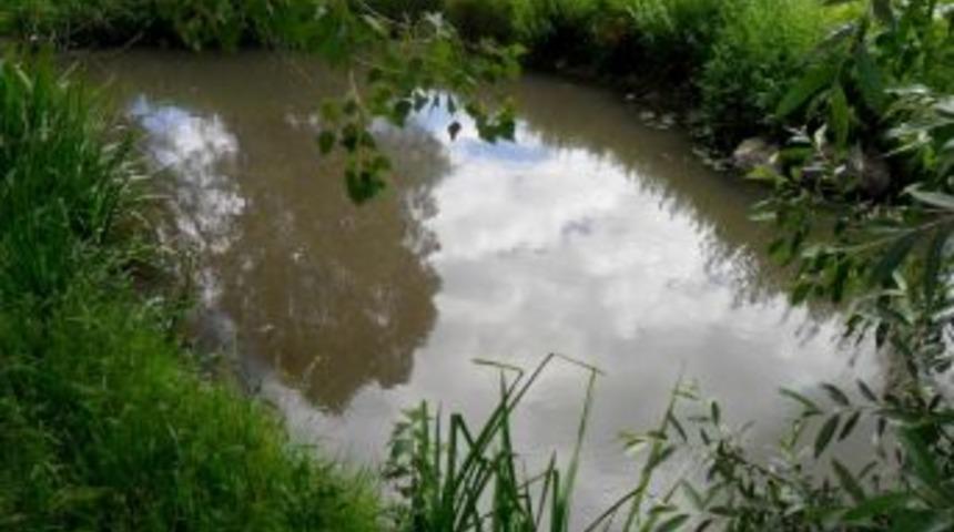 Devrekani &Ccedil;ayı'ndan Kanalizasyon Atığı Akmaya Başladı