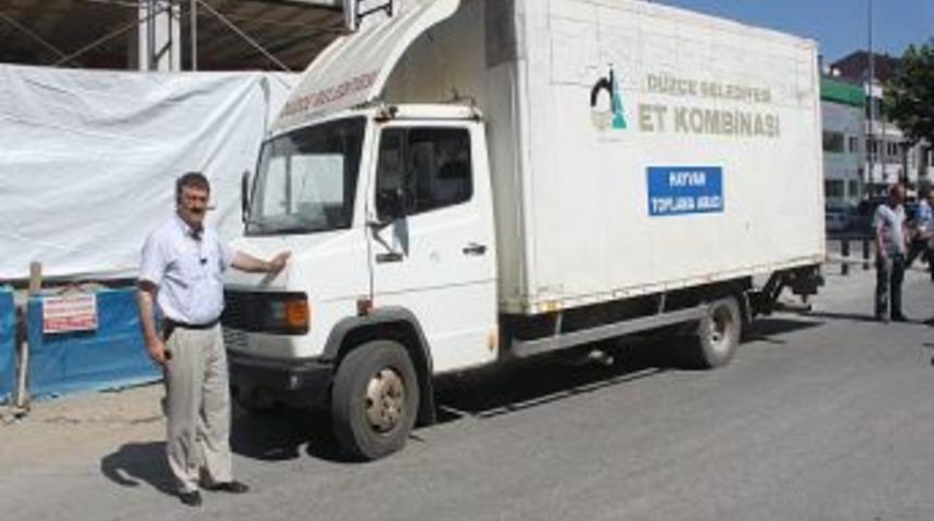 D&uuml;zce Belediyesi Başıboş Hayvanlar Toplıyor