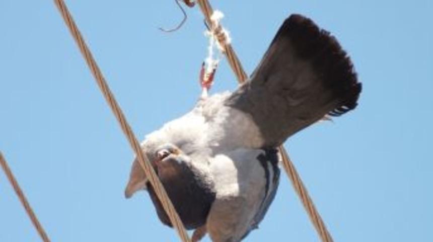 G&uuml;vercin İ&ccedil;in Seferber Oldular