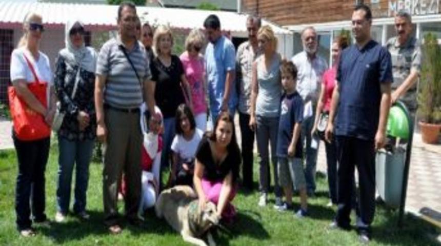 Bir Avukatın Sokak K&ouml;peğini Tabancayla Vurduğu İddiası