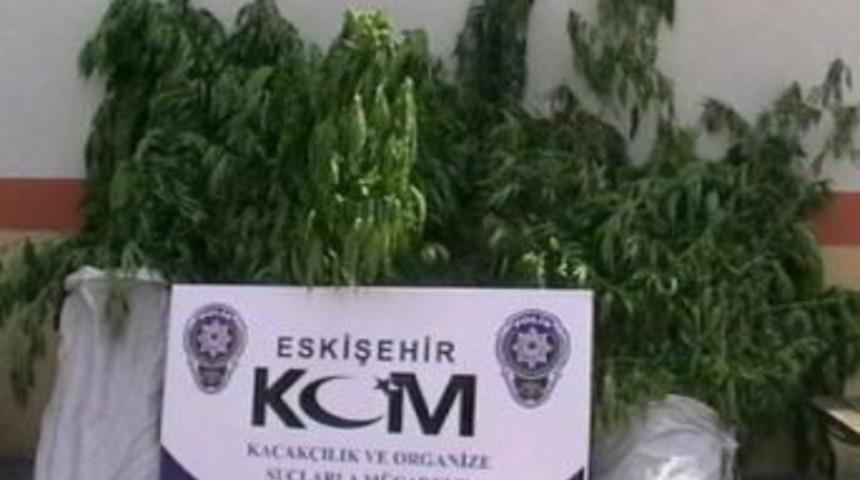 Eskişehir'de Uyuşturucu Operasyonu
