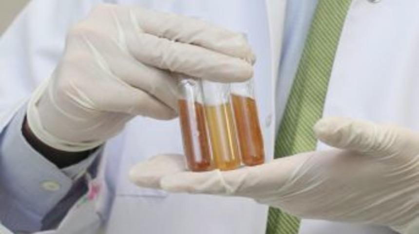 Gediz'li Kimyager, Doğal Polyester Ve Poli&uuml;retan &Uuml;retti