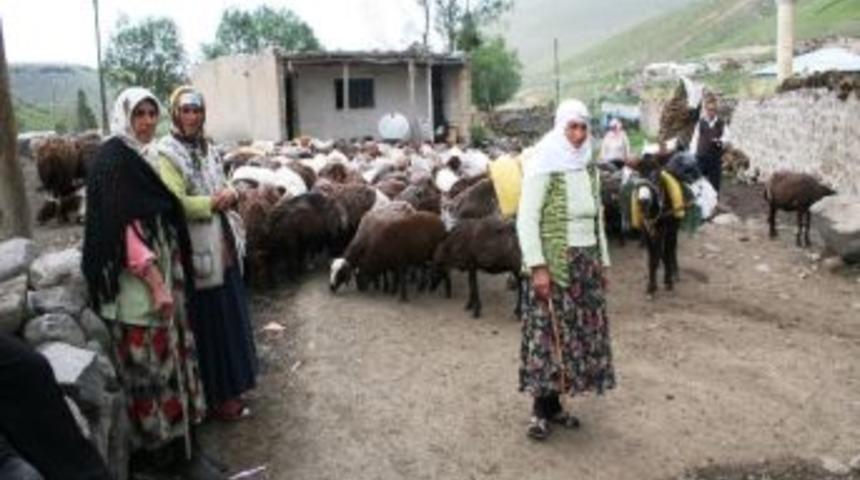 Iğdır'da Arazi İnlaşmazlığı