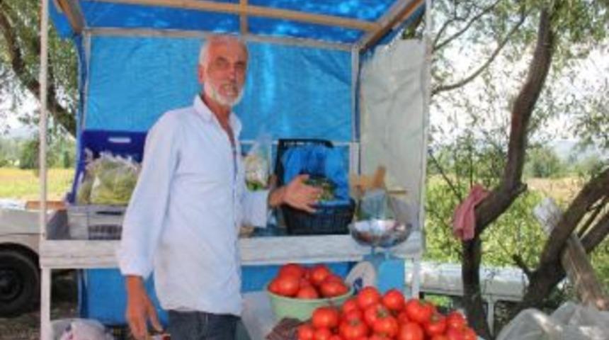 &Ccedil;aycuma&rsquo;da Karpuz Yetiştiriyor