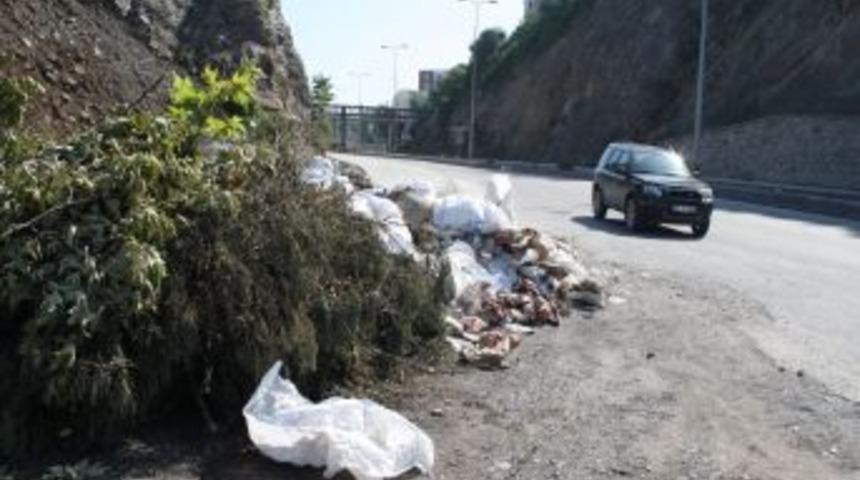 Şehrin Ortasındaki &Ccedil;&ouml;p Yığını Tepkiyle Karşılanıyor