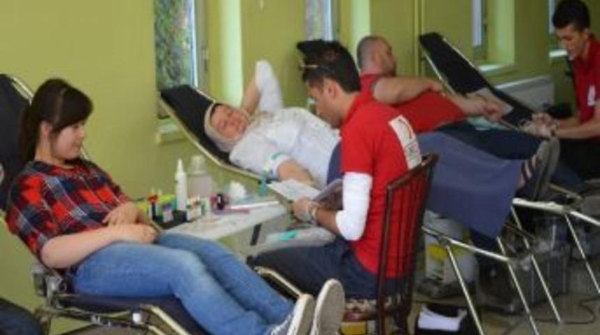 Kızılay&rsquo;dan Kargı&rsquo;da Kan Bağışı Kampanyası