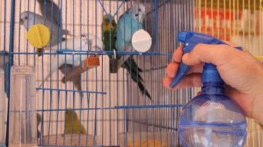 Kuşcudan Hayvanlara &Ouml;zel Serinleme Metodu