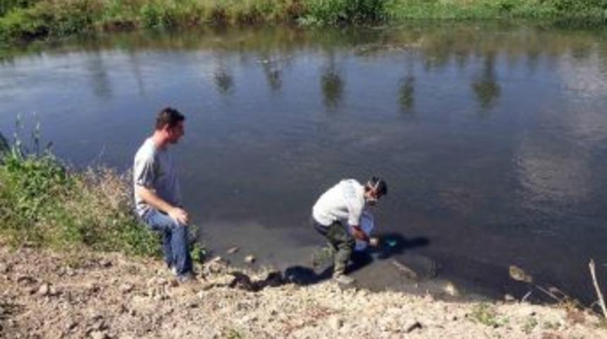 Sivrisineklere Balıklı &Ccedil;&ouml;z&uuml;m