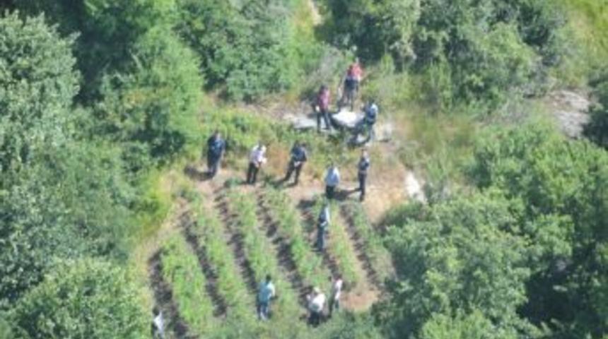 İstanbul&rsquo;un &Ccedil;evresini, Uyuşturucu Tarlasına &Ccedil;evermişler