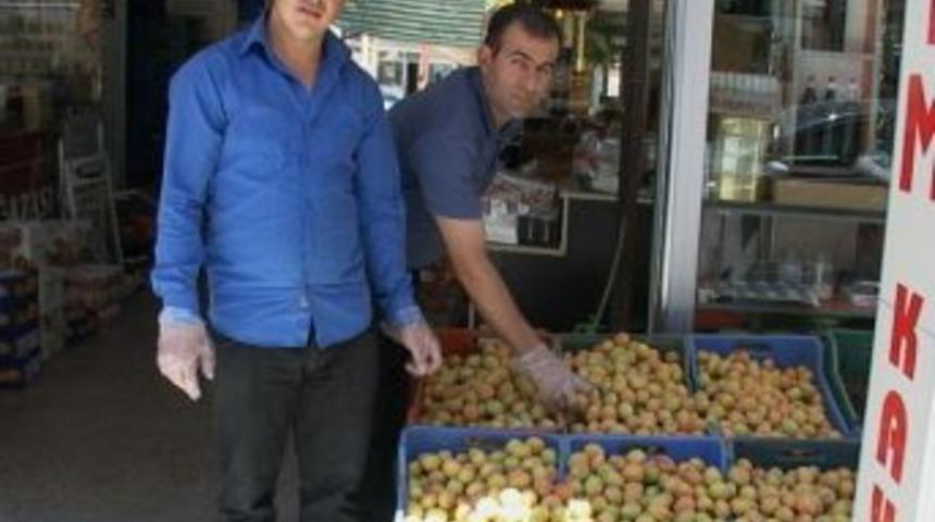 Yaş Kayısı &Uuml;reticiyi De, Satıcıyı Da Mağdur Ediyor