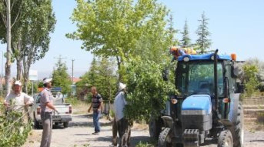 Mezarlıklarda &Ccedil;evre D&uuml;zenleme &Ccedil;alışması
