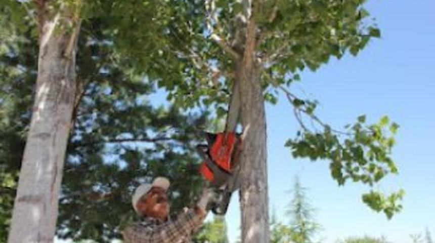 Nevşehir'de mezarlıklar g&uuml;l a&ccedil;ıyor